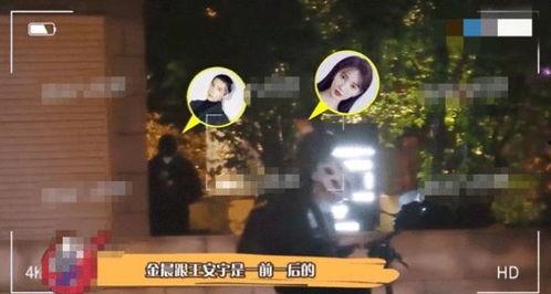 王安宇恋情爆料最新视频,甜蜜互动引网友热议